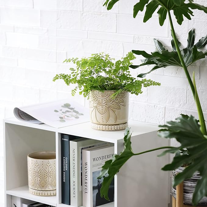 6 Inch Indoor Plant Pots with Drainage Holes and Saucers, Ceramic Planter for Plants, Flower Pot - Set of 2-CasaMuseHome