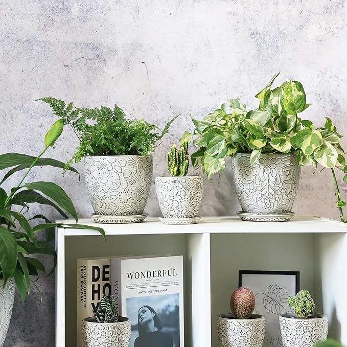 4 Inch Mini Plant Pots, Ceramic Succulent Planter with Drainage Hole and Saucers for Indoor Plants, Small Garden Pots for Succulent, Herb and Flower, Set of 4-CasaMuseHome