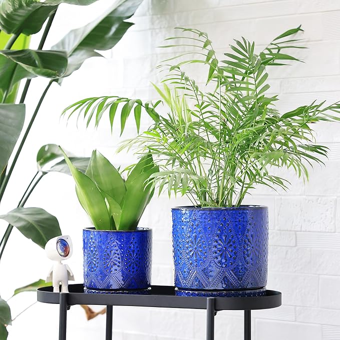 8 Inch + 6 Inch Indoor Plant Pot with Drainage Holes and Saucers, Ceramic Planter for Plants Succulent Orchid Flower Pots-CasaMuseHome