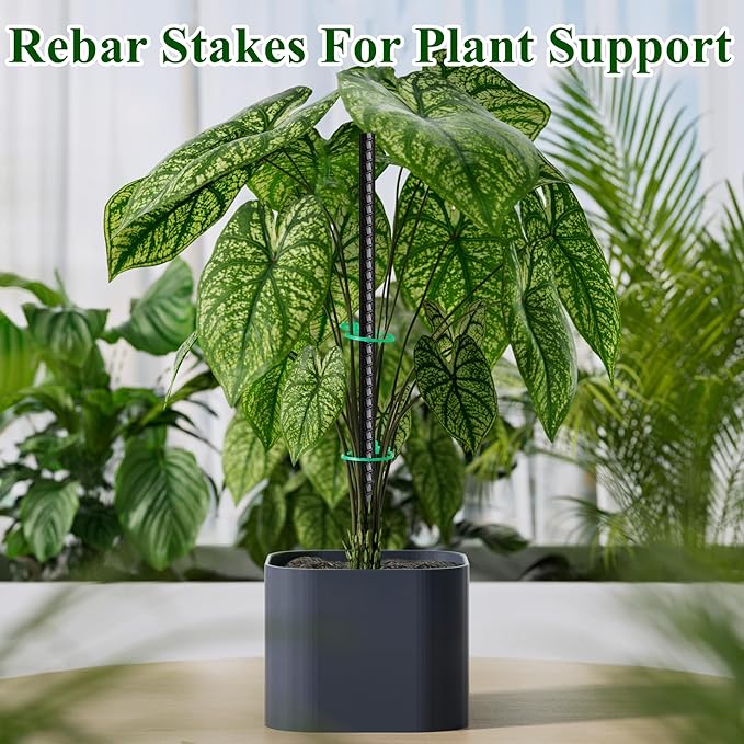 16 Inch Rebar Stakes 30 Pack Heavy Duty Ground Anchors with Chisel Point End Long Straight Steel Tent Stakes 3/8" Thickness Metal Spikes Black Coated for Concrete Timber Camping Garden Plant-CasaMuseHome