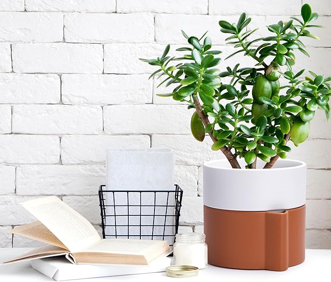 6.5 Inch Self-Watering Planter Pot with Terracotta Insert, Deep Water Reservoir, and Ceramic-Alike BPA-Free Plastic Pot for Plant, Modern Planter for Houseplants, Terracotta/White, 53-B-S-6-CasaMuseHome