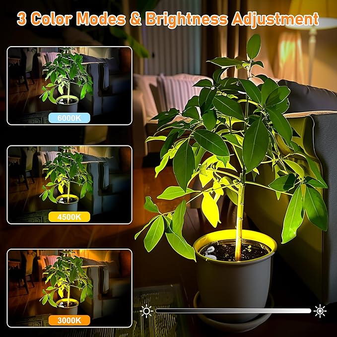 4 Pack Wireless Spot Lights Indoor, Battery Operated Uplighting, Mini Spotlight with Remote 3CCT Tree Lights Indoor, Accent Wall Lights for Display Plant Picture Dartboard-CasaMuseHome