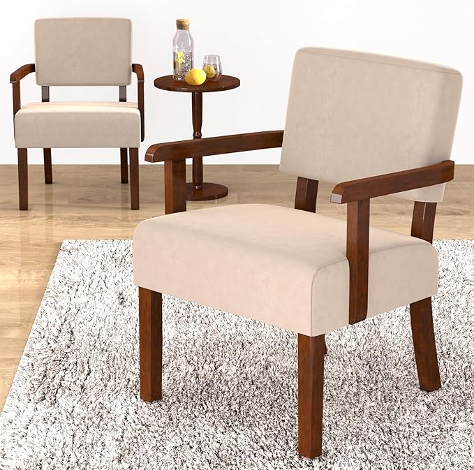 Accent Chair, Cat-Scratch Velvet Living Room Chairs Oversize with Soft Seat and Armrests for Dinning Room Bedroom Reading Room Waiting Room-CasaMuseHome
