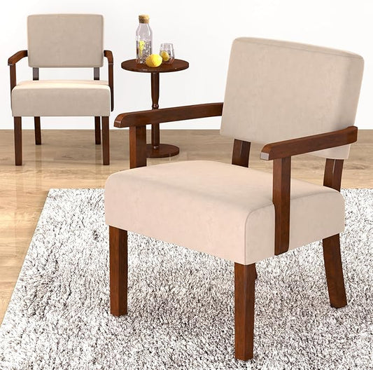 Accent Chair, Cat-Scratch Velvet Living Room Chairs Oversize with Soft Seat and Armrests for Dinning Room Bedroom Reading Room Waiting Room-CasaMuseHome