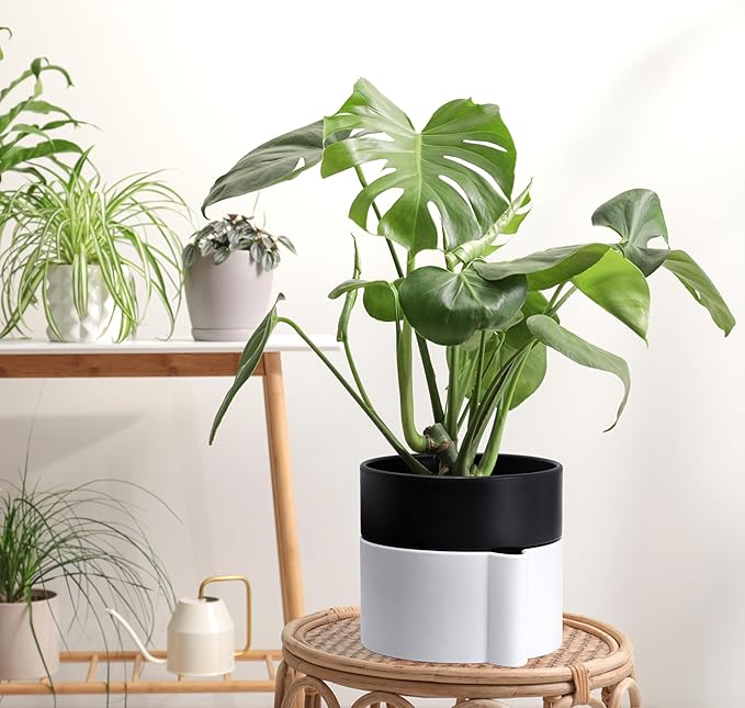 8 Inch Self-Watering Planter Pot with Terracotta Insert, Deep Water Reservoir, and Ceramic-Alike BPA-Free Plastic Planter Pot for Plant, Modern Planter for Houseplants, White/Black, 53-B-T-4-CasaMuseHome