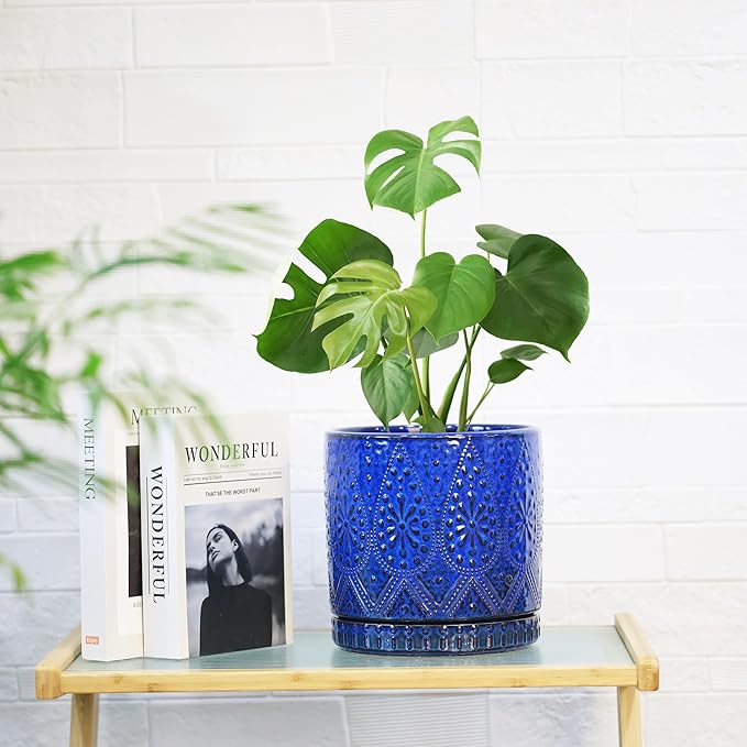 8 Inch + 6 Inch Indoor Plant Pot with Drainage Holes and Saucers, Ceramic Planter for Plants Succulent Orchid Flower Pots-CasaMuseHome