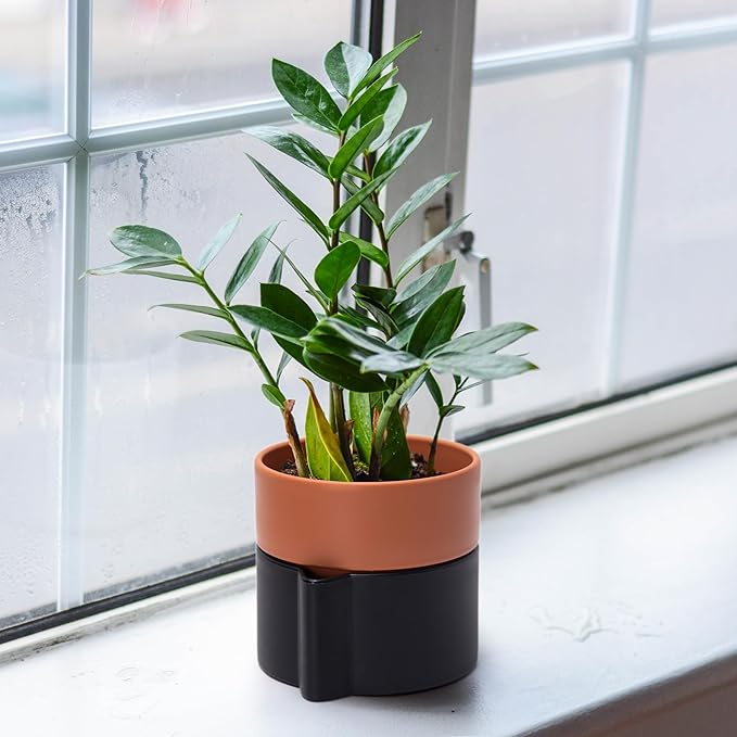 6.5 Inch Self-Watering Planter Pot with Terracotta Insert, Deep Water Reservoir, and Ceramic-Alike BPA-Free Plastic Pot for Plant, Modern Planter for Houseplants, Black/Terracotta, 53-B-S-5-CasaMuseHome