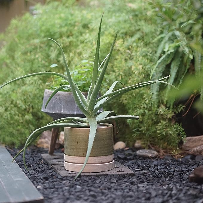 8 Inch Pots for Plants, Ceramic Planter Pot with Drainage Hole & Saucer, Indoor/Outdoor Cylinder Round Planter Pot, Green & Beige-CasaMuseHome