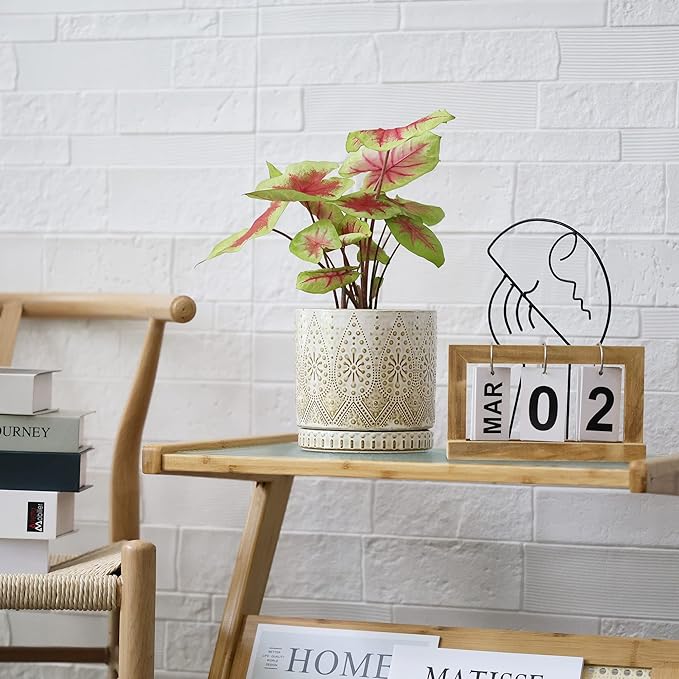 8 Inch + 6 Inch Indoor Plant Pot with Drainage Holes and Saucers, Ceramic Planter for Plants, Succulent Orchid Flower Pots-CasaMuseHome