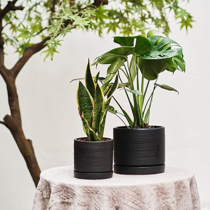 6 + 8 Inch Plant Pots, Ceramic Planter Pot with Drainage Hole & Saucer, Indoor/Outdoor Cylinder Round Planter Pot, Matte Black-CasaMuseHome