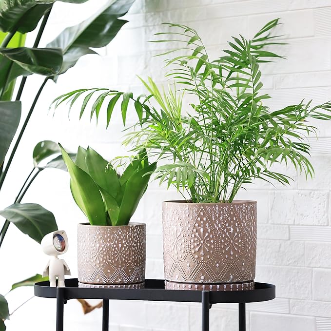 8 Inch + 6 Inch Plant Pot with Drainage Holes and Saucers, Indoor Ceramic Planter for Plants Succulent Orchid Flower Pots-CasaMuseHome