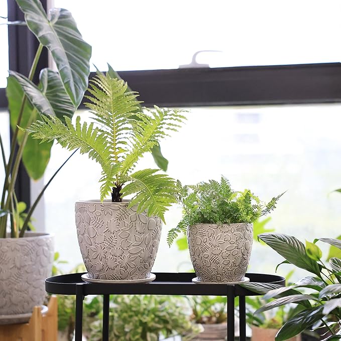 8 Inch + 6 Inch Retro Ceramic Planter Set of 2 with Drainage Hole and Saucer for Multiple Plants, Indoor-Outdoor Garden Pots for Succulent, Orchid, and Flower (Retro White)-CasaMuseHome