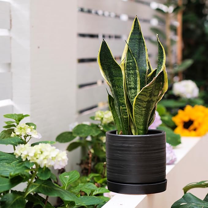6 + 8 Inch Plant Pots, Ceramic Planter Pot with Drainage Hole & Saucer, Indoor/Outdoor Cylinder Round Planter Pot, Matte Black-CasaMuseHome