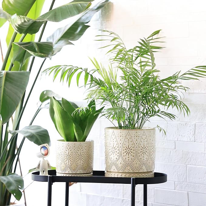 8 Inch + 6 Inch Indoor Plant Pot with Drainage Holes and Saucers, Ceramic Planter for Plants, Succulent Orchid Flower Pots-CasaMuseHome