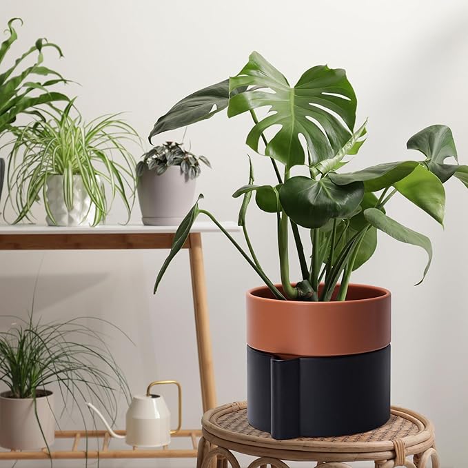 8 Inch Self-Watering Planter Pot with Terracotta Insert, Deep Water Reservoir, and Ceramic-Alike BPA-Free Plastic Planter Pot for Plant, Modern Planter for Houseplants, Black/Terracotta, 53-B-T-5-CasaMuseHome