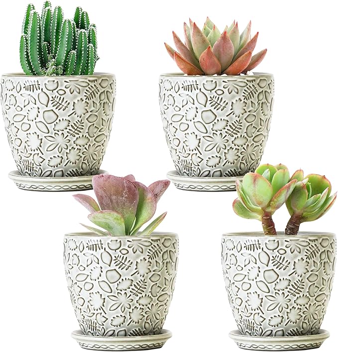 4 Inch Mini Plant Pots, Ceramic Succulent Planter with Drainage Hole and Saucers for Indoor Plants, Small Garden Pots for Succulent, Herb and Flower, Set of 4-CasaMuseHome