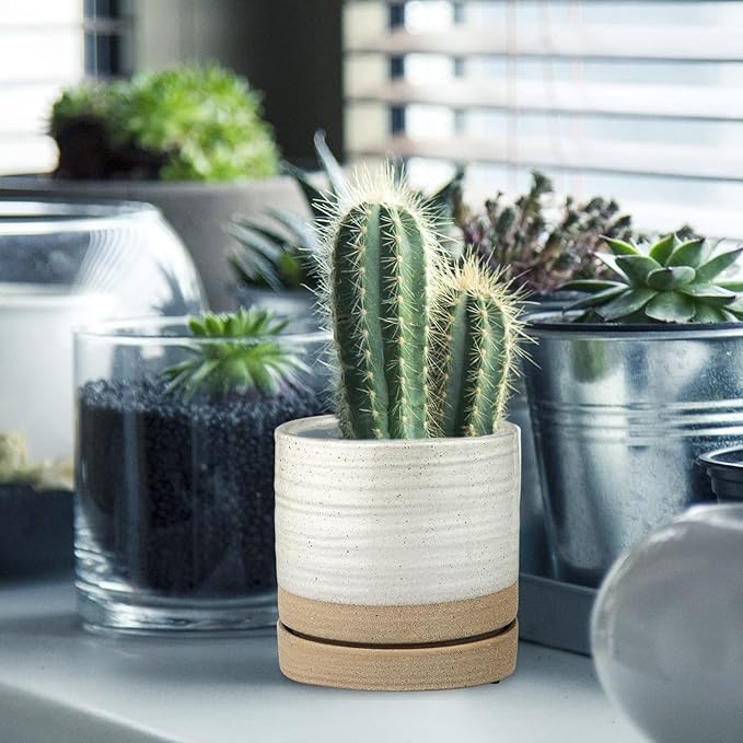 6 Inch Plant Pots, Ceramic Planter Pot with Drainage Hole & Saucer, Indoor/Outdoor Cylinder Round Planter Pot, White & Beige Glaze-CasaMuseHome