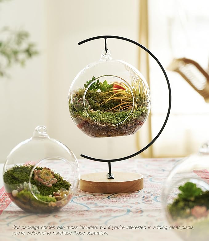 15-Piece Terrarium Kit with Live Moss – DIY Glass Globe Set with Tools, Soil, Stones & Spray Bottle – Indoor Mini Garden Gift for Plant Lovers, Home Decor & Zen Craft-CasaMuseHome