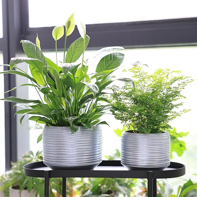 8 Inch + 6 Inch Ceramic Plant Pots Indoor with Drainage – Flower Pot Set, Decorative Indoor Planters for House Plants and Garden Use-CasaMuseHome