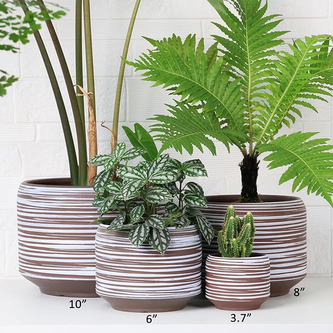 8 Inch + 6 Inch Ceramic Plant Pots Indoor with Drainage – Flower Pot Set, Decorative Indoor Planters for House Plants and Garden Use-CasaMuseHome