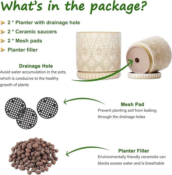 8 Inch + 6 Inch Indoor Plant Pot with Drainage Holes and Saucers, Ceramic Planter for Plants, Succulent Orchid Flower Pots-CasaMuseHome