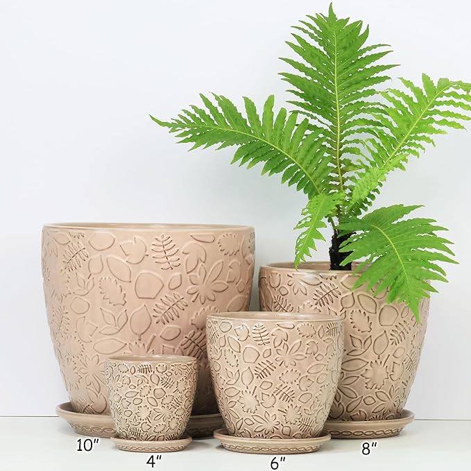 4 Inch Mini Plant Pots, Ceramic Succulent Planter with Drainage Hole and Saucers for Indoor Plants, Small Garden Pots for Succulent, Herb and Flower, Set of 4-CasaMuseHome