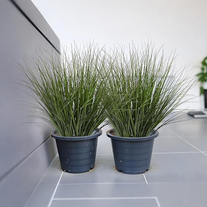 16PCS 17.3" Fake Plants Artificial Wheat Grass Greenery Plastic Plants Fake Grass Artificial Plants for Outdoor Decor Artificial Grass Plant with Greenery Stems for Indoor Home Decoration-CasaMuseHome