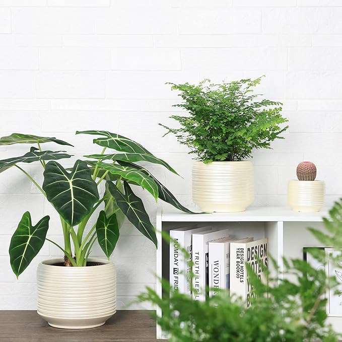 8 Inch + 6 Inch Ceramic Plant Pots Indoor with Drainage – Flower Pot Set, Decorative Indoor Planters for House Plants and Garden Use-CasaMuseHome