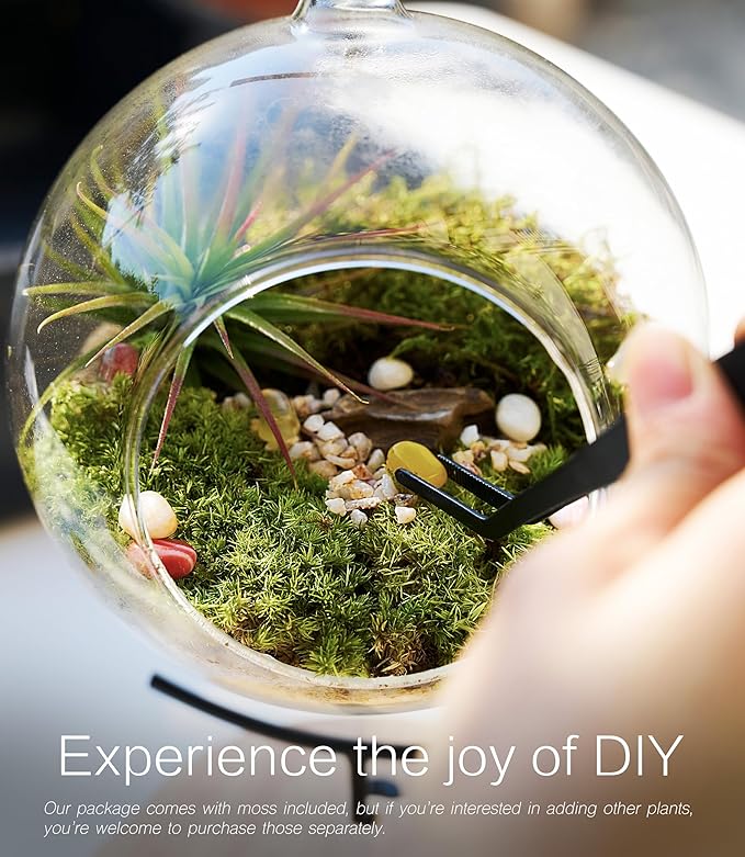 15-Piece Terrarium Kit with Live Moss – DIY Glass Globe Set with Tools, Soil, Stones & Spray Bottle – Indoor Mini Garden Gift for Plant Lovers, Home Decor & Zen Craft-CasaMuseHome