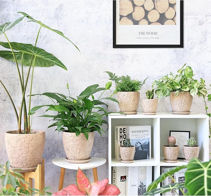 4 Inch Mini Plant Pots, Ceramic Succulent Planter with Drainage Hole and Saucers for Indoor Plants, Small Garden Pots for Succulent, Herb and Flower, Set of 4-CasaMuseHome