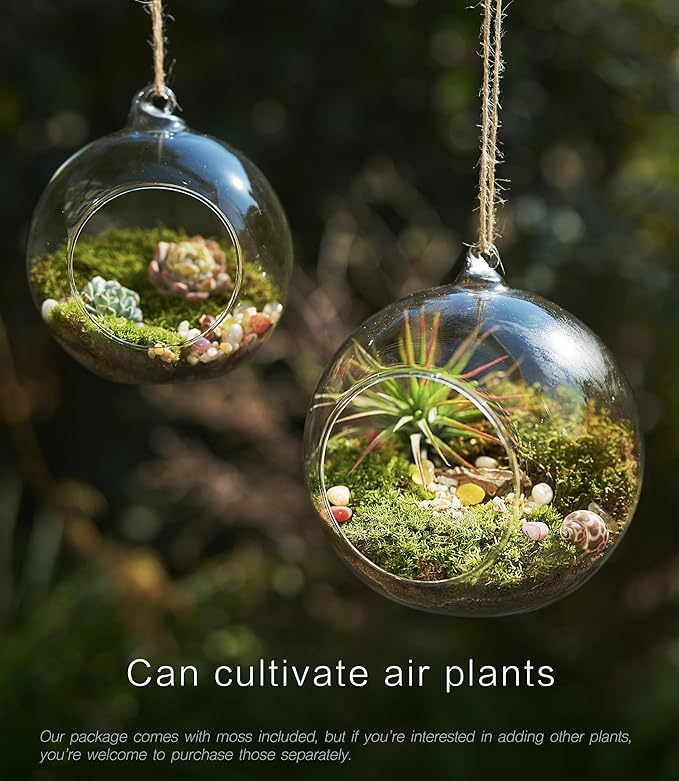 15-Piece Terrarium Kit with Live Moss – DIY Glass Globe Set with Tools, Soil, Stones & Spray Bottle – Indoor Mini Garden Gift for Plant Lovers, Home Decor & Zen Craft-CasaMuseHome