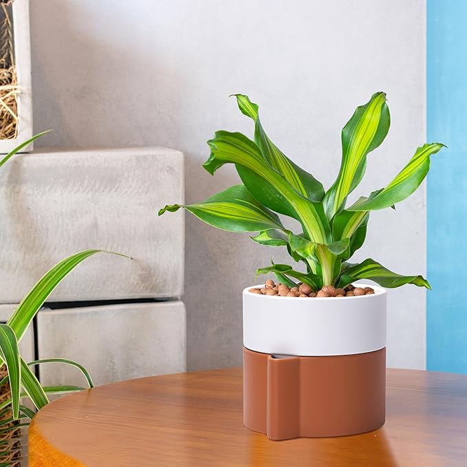 6.5 Inch Self-Watering Planter Pot with Terracotta Insert, Deep Water Reservoir, and Ceramic-Alike BPA-Free Plastic Pot for Plant, Modern Planter for Houseplants, Terracotta/White, 53-B-S-6-CasaMuseHome