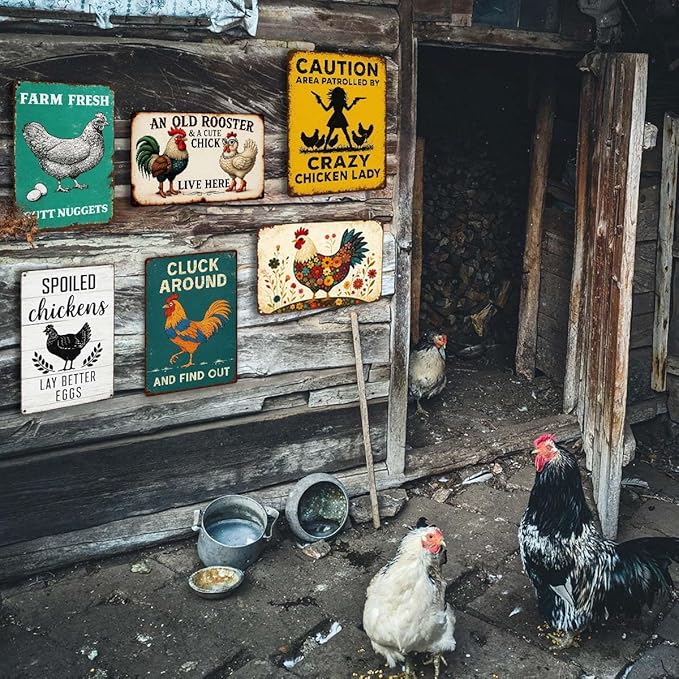 6 Pack Chicken Coop Signs – Vintage Farm Accessories Funny Metal Tin Signs for Outdoor Chicken Coop Decor, Farmhouse Wall Art, Rustic Barn Yard Decorations, 8x12 Inch-CasaMuseHome