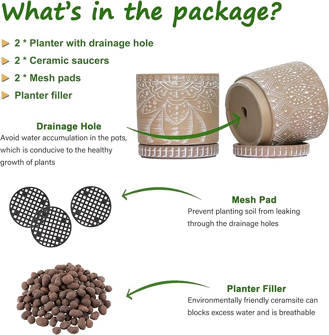 6 Inch Indoor Plant Pots with Drainage Holes and Saucers, Ceramic Planter for Plants, Flower Pot - Set of 2-CasaMuseHome