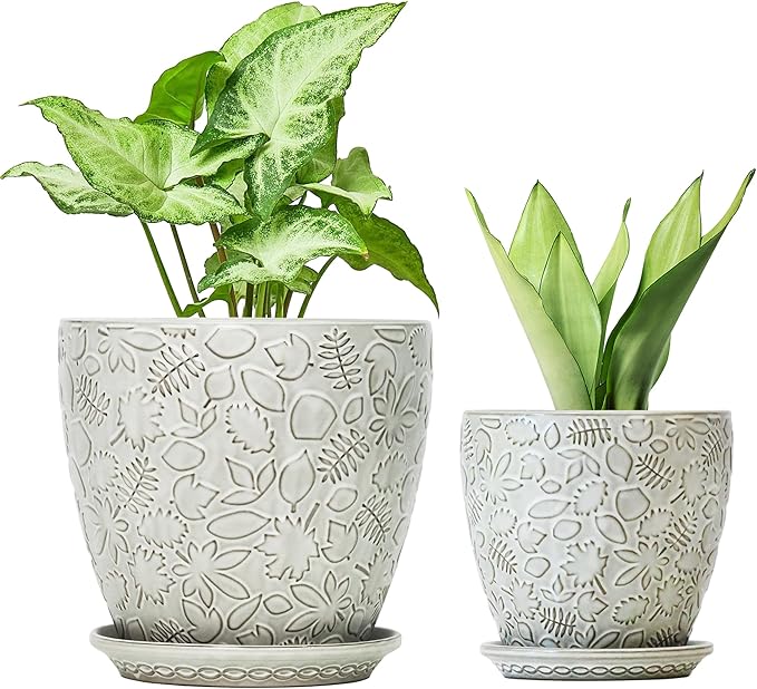 8 Inch + 6 Inch Retro Ceramic Planter Set of 2 with Drainage Hole and Saucer for Multiple Plants, Indoor-Outdoor Garden Pots for Succulent, Orchid, and Flower (Retro White)-CasaMuseHome