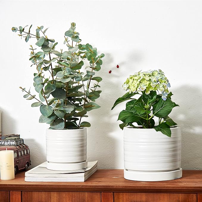 6 + 8 Inch Plant Pots, Ceramic Planter Pot with Drainage Hole & Saucer, Indoor/Outdoor Cylinder Round Planter Pot, Matte White-CasaMuseHome