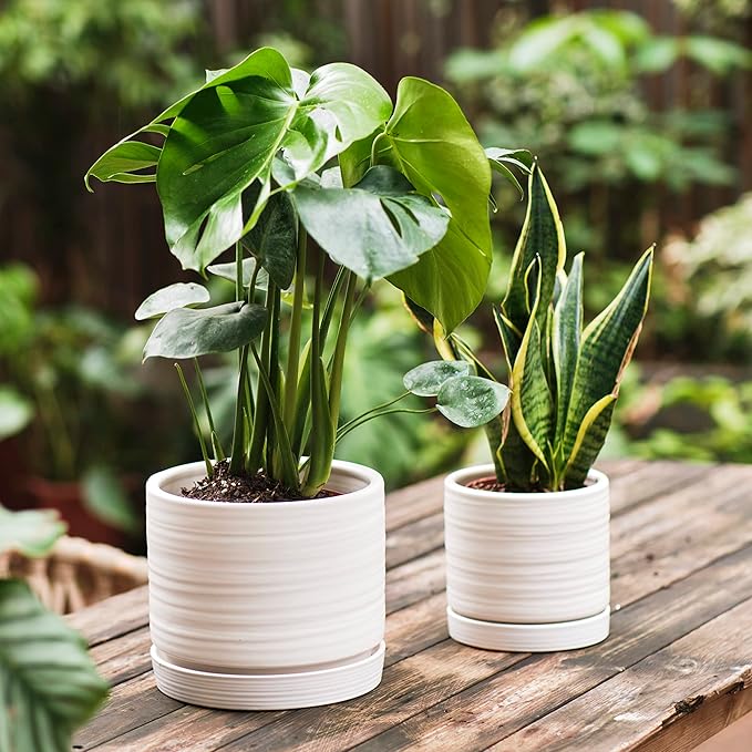 6 + 8 Inch Plant Pots, Ceramic Planter Pot with Drainage Hole & Saucer, Indoor/Outdoor Cylinder Round Planter Pot, Matte White-CasaMuseHome