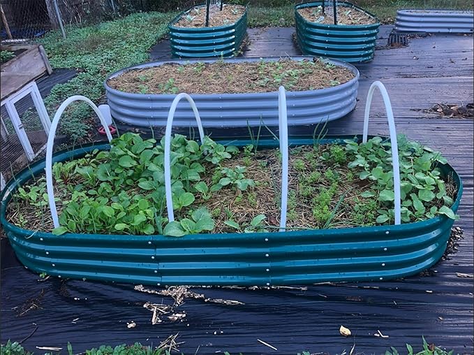 2 Pack 8x3x1FT Galvanized Raised Garden Bed Large Metal Planter Box Kit Elevated Raised Garden Planters for Outdoor Plants, Green-CasaMuseHome