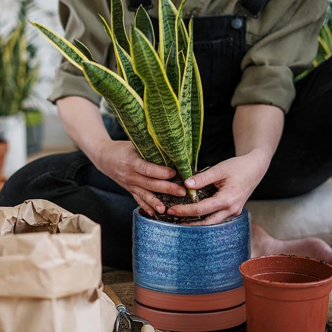 6 Inch Plant Pots, Ceramic Planter Pot with Drainage Hole & Saucer, Indoor/Outdoor Cylinder Round Planter Pot, Aqua Blue & Terracotta Red-CasaMuseHome