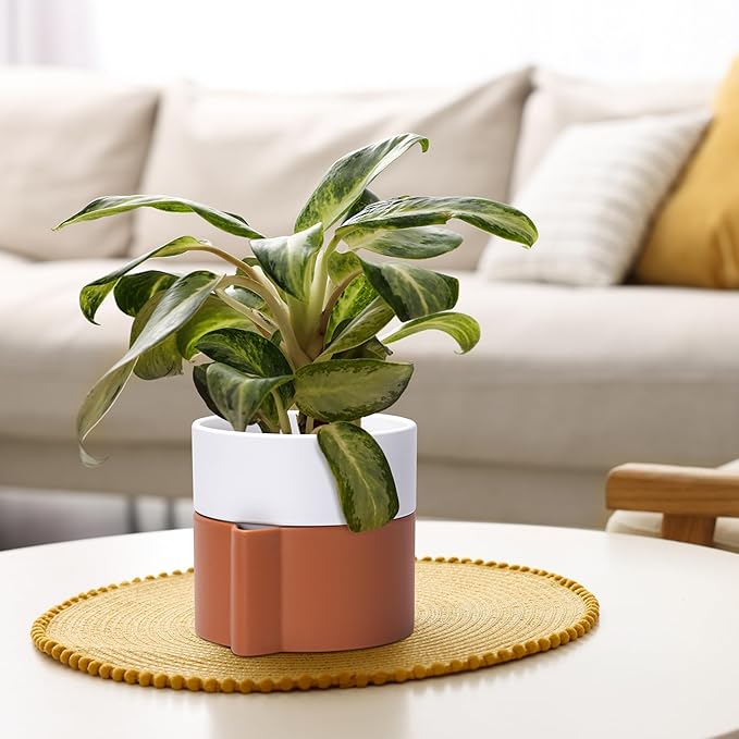 6.5 Inch Self-Watering Planter Pot with Terracotta Insert, Deep Water Reservoir, and Ceramic-Alike BPA-Free Plastic Pot for Plant, Modern Planter for Houseplants, Terracotta/White, 53-B-S-6-CasaMuseHome