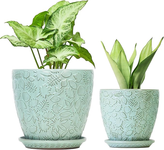 8 Inch + 6 Inch Plant Pots for Indoor Plants, Ceramic Planter with Drainage Hole and Saucers, Garden Pots for Succulent, Orchid, and Flower, Set of 2-CasaMuseHome