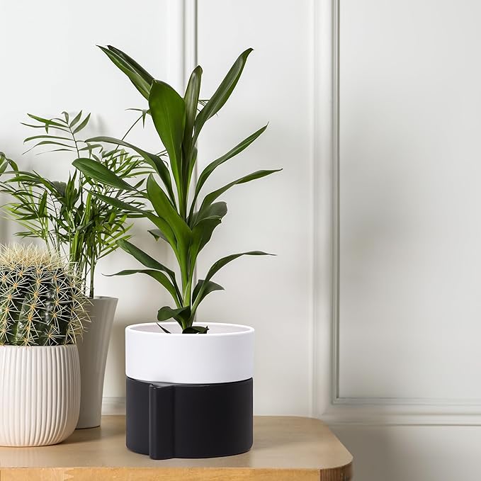 8 Inch Self-Watering Planter Pot with Terracotta Insert, Deep Water Reservoir, and Ceramic-Alike BPA-Free Plastic Planter Pot for Plant, Modern Planter for Houseplants, Black/White, 53-C-T-7-CasaMuseHome