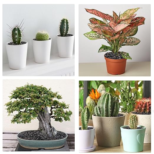 5 lbs Pebbles for Indoor Plants, Succulent, Cactus, 1/5 Inch Small Lava Rock for Plants Drainage, Natural Horticultural Volcanic Rock, Top-Dressing-CasaMuseHome