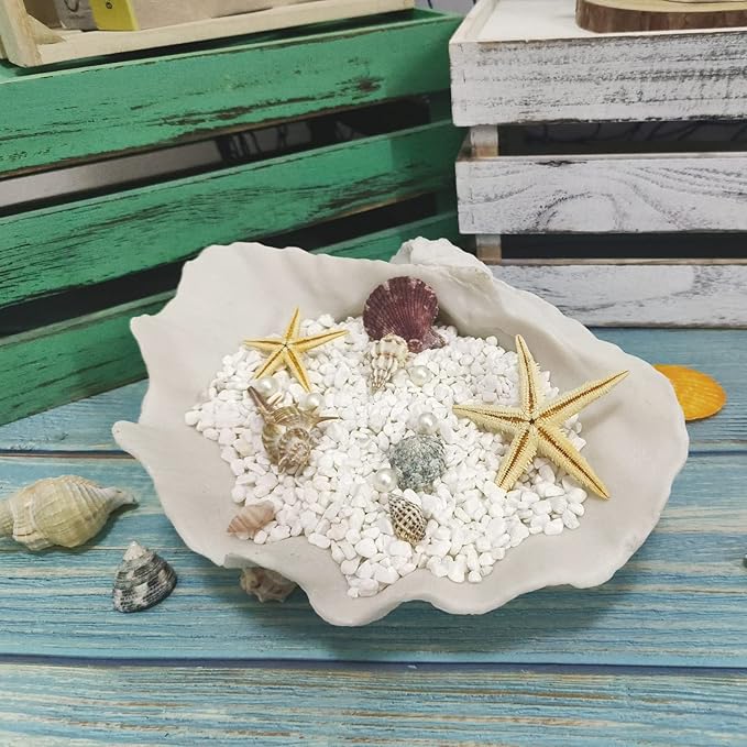 Accessoryway Large White Sea Shells Decorative Bowl Resin Clam Shell Bowl Beach Decorations for Home Coastal Beach Decor Decoration Storage Bowls & Home Office Nautical Themed Party Decor -10.2"-1PC-CasaMuseHome