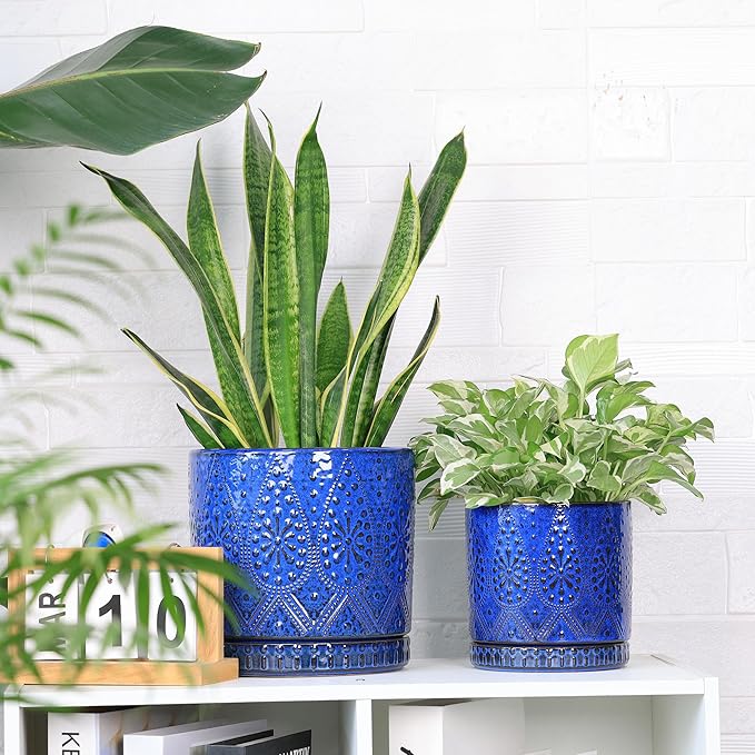 8 Inch + 6 Inch Indoor Plant Pot with Drainage Holes and Saucers, Ceramic Planter for Plants Succulent Orchid Flower Pots-CasaMuseHome