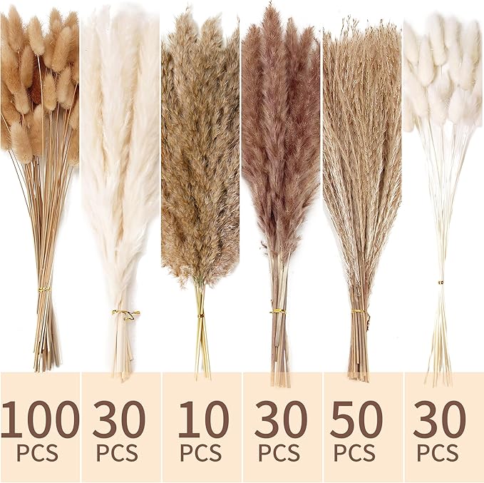 240 PCS Dried Flower Bouquet – Pampas Grass, Floral Decor for Home, Wedding, and Boho Style | Perfect for Vases, Fall, Spring, Summer, and Winter Arrangements-CasaMuseHome