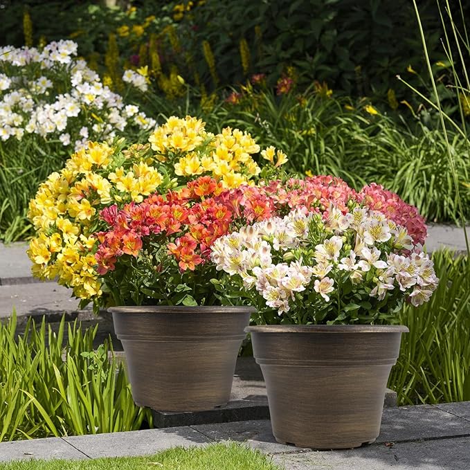 16 inch Plant Pots Outdoor Planters，4 Pack Large Plastic Flower Pot for Indoor Plants with Drainage Holes & Saucer, Resin Decorative Container Sets with Trays for House Outdoor Garden Plant Dark Gold-CasaMuseHome