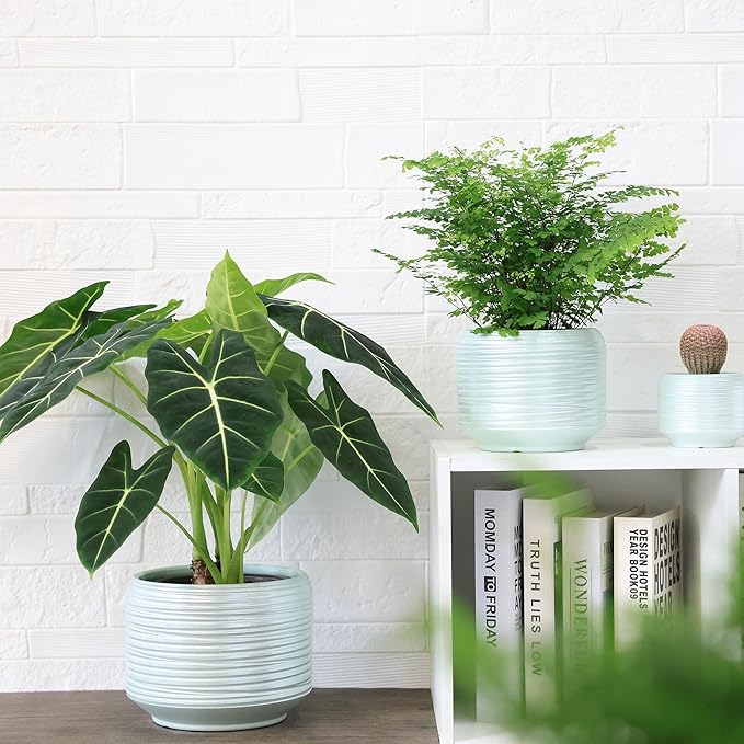 8 Inch + 6 Inch Ceramic Plant Pots Indoor with Drainage – Flower Pot Set, Decorative Indoor Planters for House Plants and Garden Use-CasaMuseHome