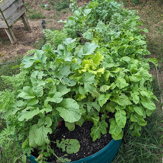 2 Pack 8x3x1FT Galvanized Raised Garden Bed Large Metal Planter Box Kit Elevated Raised Garden Planters for Outdoor Plants, Green-CasaMuseHome