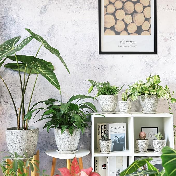 6 Inch Ceramic Planter Pots with Drainage Hole and Saucers for Indoor Plants, Garden Pots for Succulent, Orchid, and Flower - Set of 2-CasaMuseHome